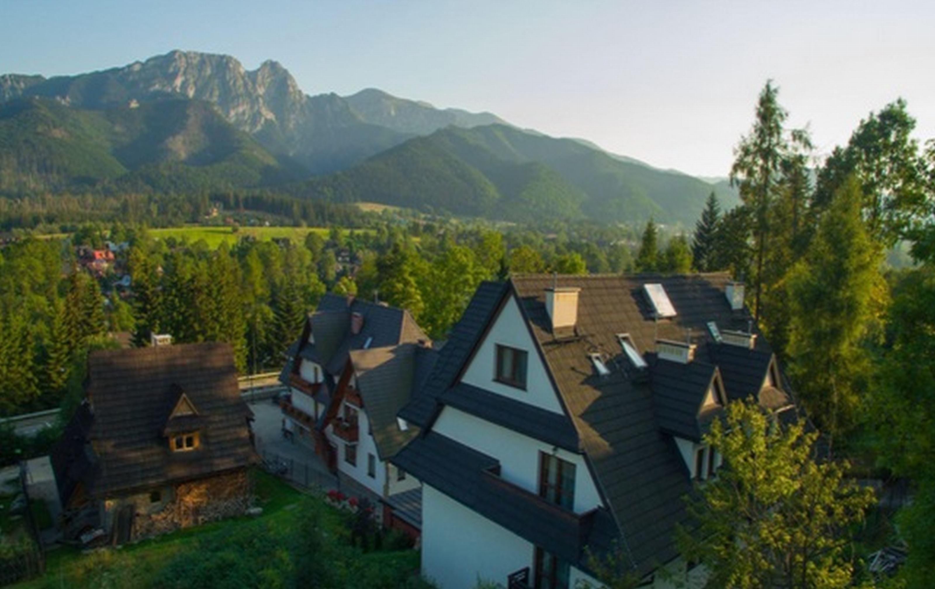 New Willa Jan Zakopane Dış mekan fotoğraf